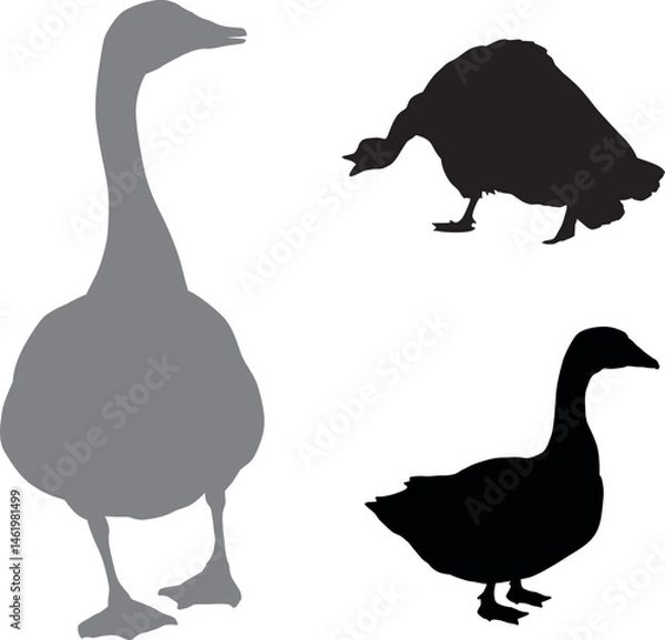 Obraz Vector silhouettes_Goose.eps