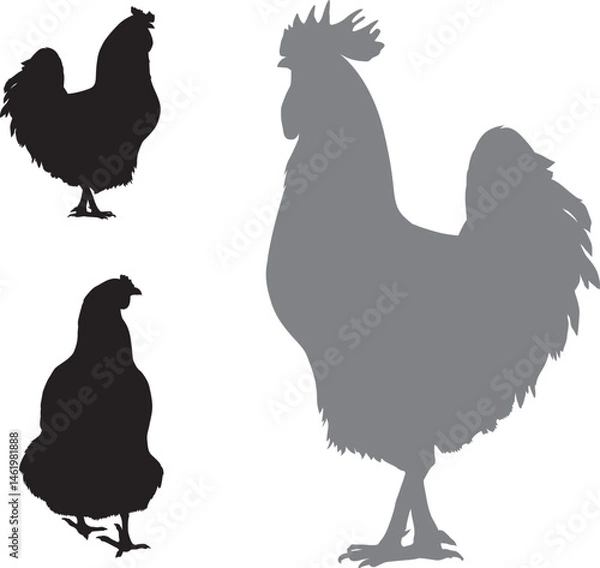 Obraz Vector silhouettes_Rooster.eps