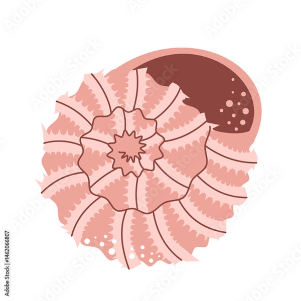 Fototapeta Spiral seashell icon. Marine and beach theme. Flat vector illustration