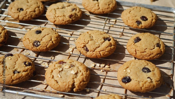 Obraz chocolate chip cookies