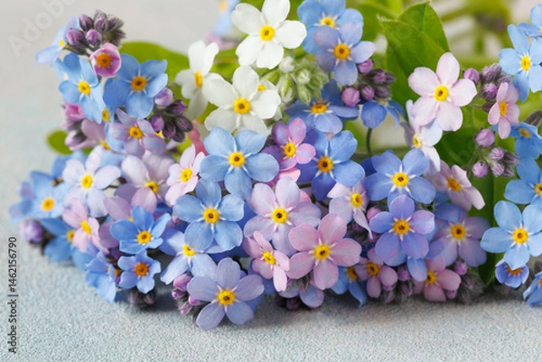 Obraz Bouquet of blue, pink and white forget-me-not flowers on decorative background closeup. Beautiful floral card