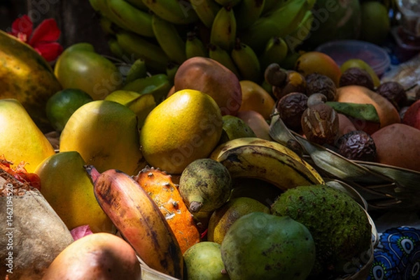Obraz promienie słońca oświetlające owoce tropikalne