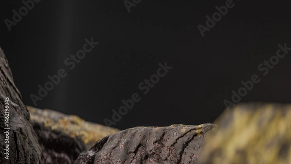 Fototapeta Bottle of perfume is shown on a rocky surface. The bottle is black and has a black cap. The bottle is placed on a rock, and the rock is surrounded by other mossy rocks. Premium photo 3d render.