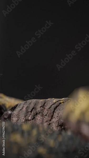 Fototapeta Bottle of perfume is shown on a rocky surface. The bottle is black and has a black cap. The bottle is placed on a rock, and the rock is surrounded by other mossy rocks. Premium photo 3d render.