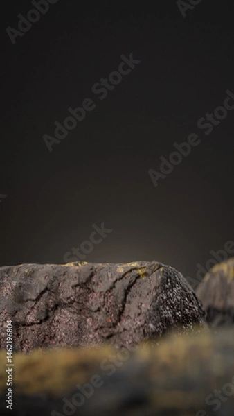 Fototapeta Bottle of perfume is shown on a rocky surface. The bottle is black and has a black cap. The bottle is placed on a rock, and the rock is surrounded by other mossy rocks. Premium photo 3d render.