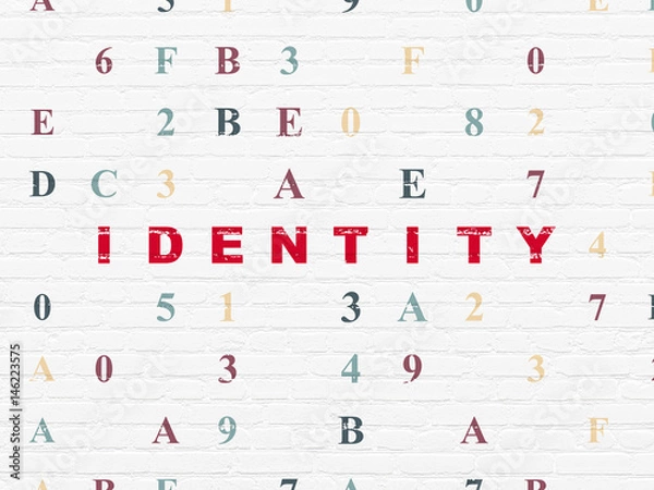 Fototapeta Privacy concept: Identity on wall background