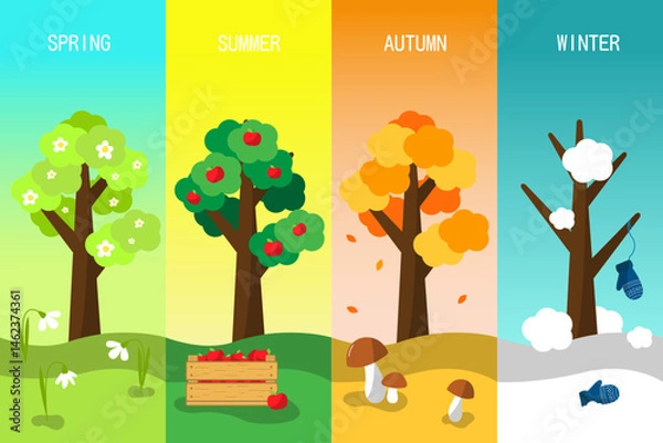 Fototapeta Four seasons set. winter, spring, summer, autumn. Tree at different times of the year. Cartoon Flat Style Illustration