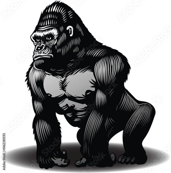 Fototapeta vector image of gorilla graphic style linocut