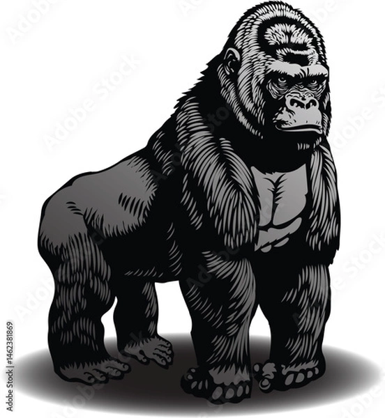 Fototapeta vector image of gorilla graphic style linocut