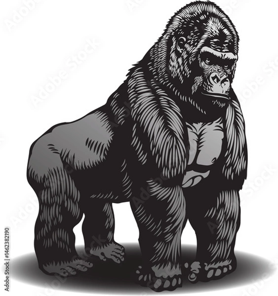 Fototapeta vector image of gorilla graphic style linocut