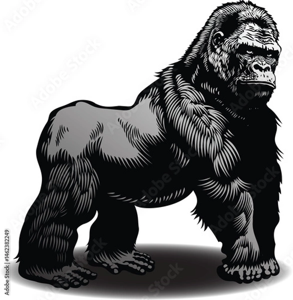 Fototapeta vector image of gorilla graphic style linocut