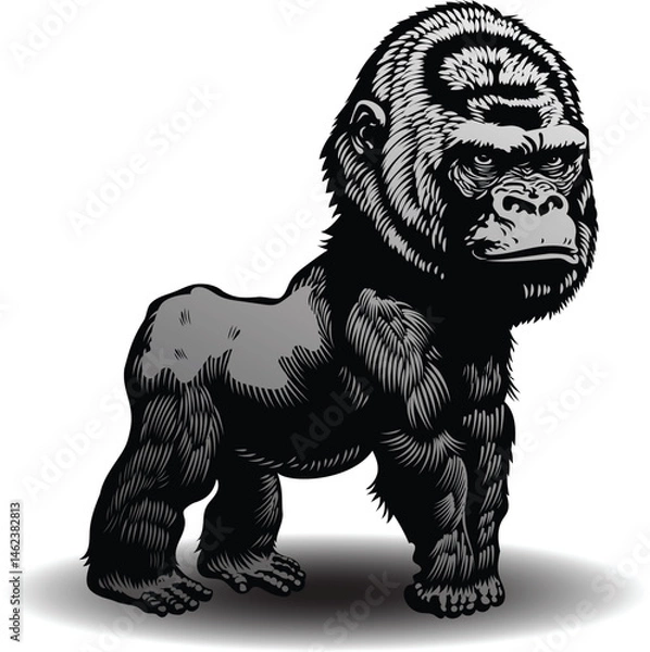 Fototapeta vector image of gorilla graphic style linocut