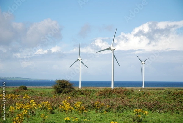 Obraz Irish Wind Turbines