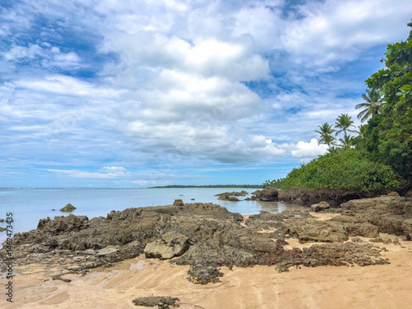 Obraz Dramatic sky day at sea on Boipeba Island in Bahia