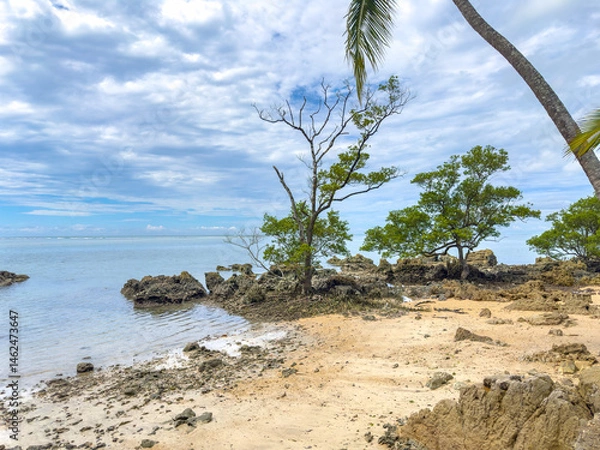 Obraz Bealtiful sky day at  sea on Boipeba Island in Bahia