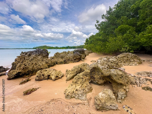 Obraz Dramatic sky day at sea on Boipeba Island in Bahia