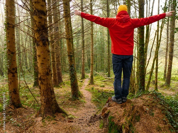 Fototapeta A man in a red jacket is walking through a forest. Male tourist is wearing a yellow hat. The forest is full of trees and the man is walking on a path. Travel and tourism concept. Trip to nature.
