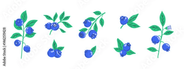 Fototapeta Set of blueberries. Cartoon forest berries with leaves, branch with organic garden blueberry fruits, botanic floral elements for packaging design. Vector collection