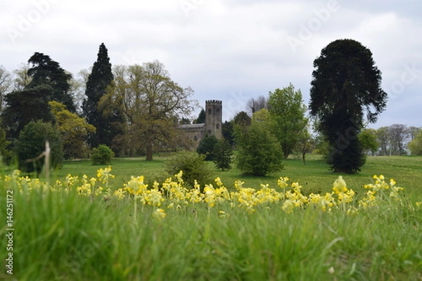 Obraz Cowslips and church