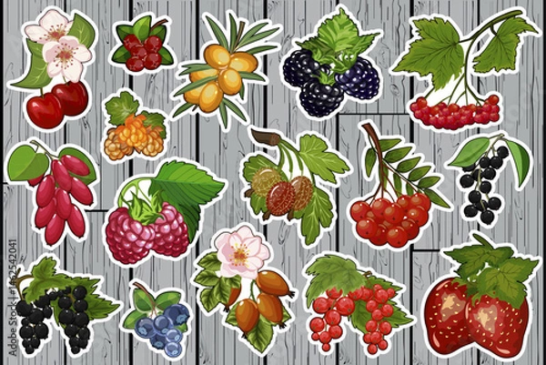 Fototapeta Stickers with berries in the collection.Large collection of stickers and decals with berries on a wooden background.