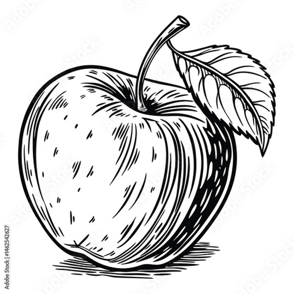 Fototapeta A black and white drawing of an apple with a leaf on top