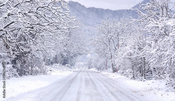 Obraz Winter path with frozen trees
