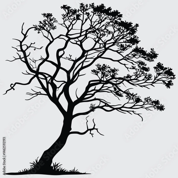 Fototapeta Tree image silhouette design vector art and illustration