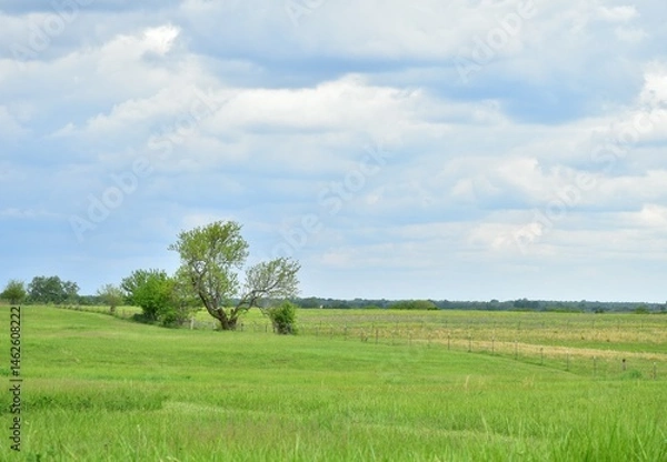 Fototapeta Clouds Over Rural Farm Field