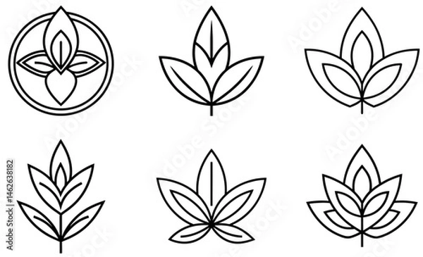 Fototapeta Abstract Line Art Leaf Designs for Branding or Logos