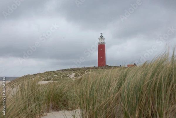 Fototapeta The Eierland Lighthouse on the northernmost top of the Dutch island of Texel, Red lighthouse tower on the sand dunes with european marram grass and cloudy sky as background, North Holland, Netherlands