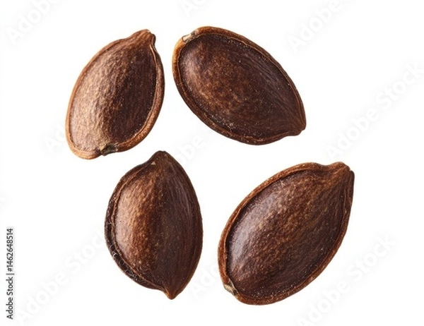 Fototapeta Four pumpkin seeds arranged in a circle on a white background.  Each seed is a rich, dark brown color, with a slightly oblong shape. The seeds appear whole and slightly textured