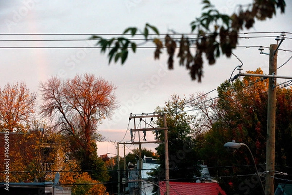 Fototapeta Un poteau électrique et un arbre en automne	