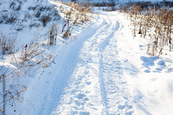 Fototapeta A snow covered path with a few bushes in the background