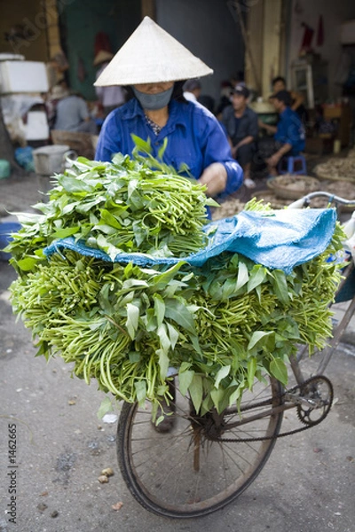 Obraz gemüseverkäuferin in hanoi