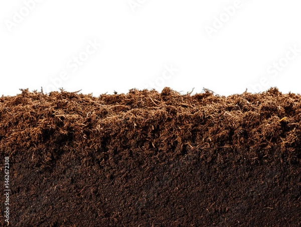 Fototapeta humus soil bottom border pile isolated on white or transparent png