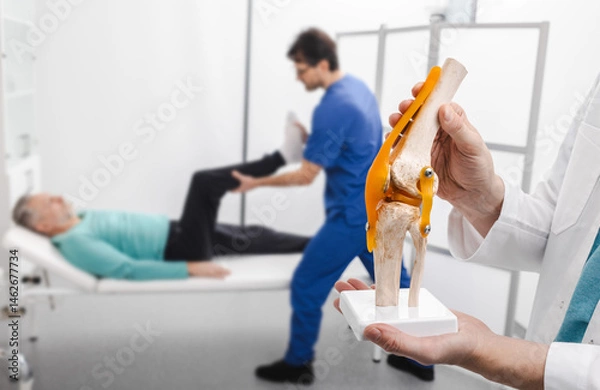 Fototapeta Physiotherapist holding anatomical human knee-joint model in hands, over background physiotherapy session for male patient. Physiotherapy treatments and kinesiotherapy, conceptual image