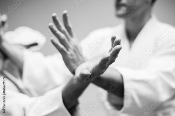Obraz Fight between two aikido fighters