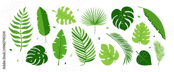 Fototapeta Palm leaf icon, tropic plant, cartoon jungle, exotic coconut leaves, summer banana fern, monstera set. Rainforest paradise foliage silhouette. Hawaiian floral pattern on white bg. Vector illustration