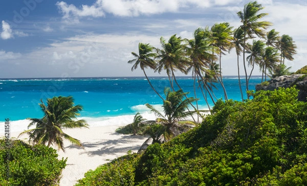 Fototapeta Bottom Bay