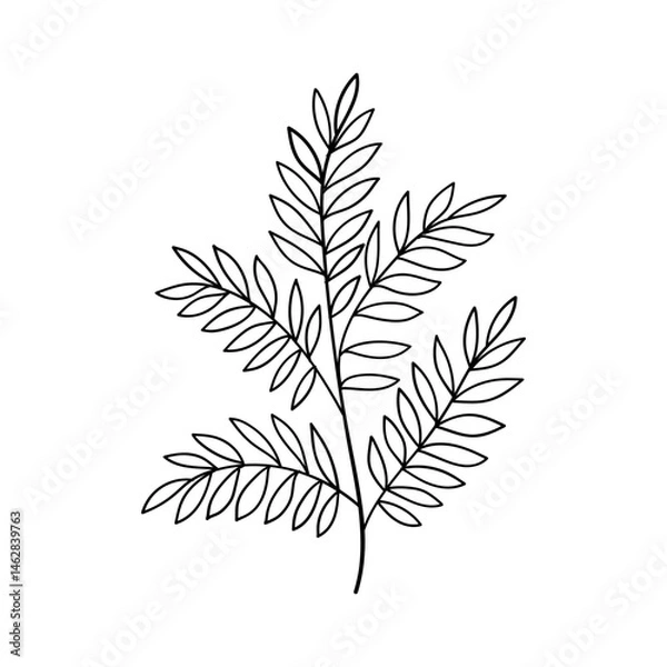 Fototapeta Botanical Leaf. Hand-drawn botanical leaf illustration with elegant line details, perfect for minimalistic nature-themed designs, tattoos, or herbal packaging.