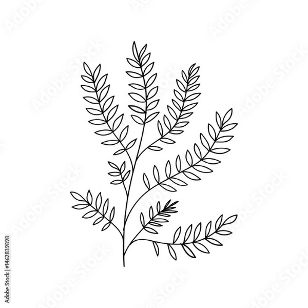 Fototapeta Botanical Leaf. Hand-drawn botanical leaf illustration with elegant line details, perfect for minimalistic nature-themed designs, tattoos, or herbal packaging.