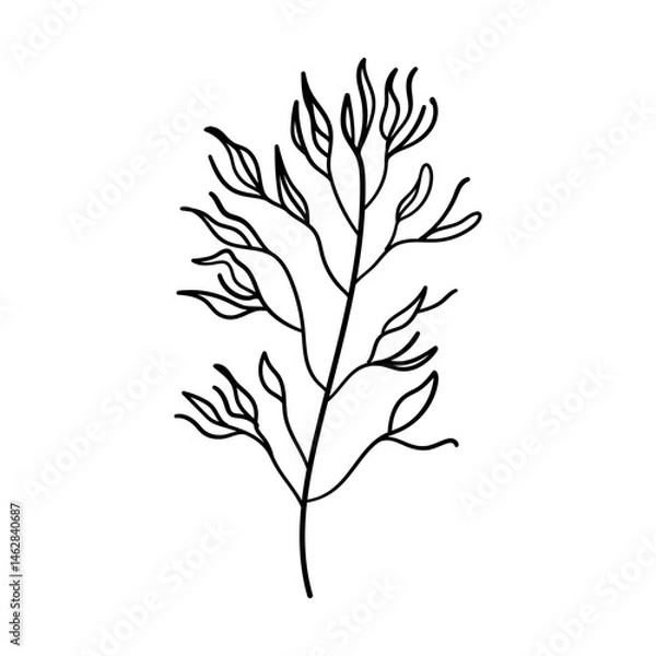 Fototapeta Botanical Leaf. Hand-drawn botanical leaf illustration with elegant line details, perfect for minimalistic nature-themed designs, tattoos, or herbal packaging.