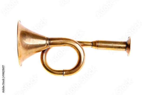 Fototapeta Small bugle