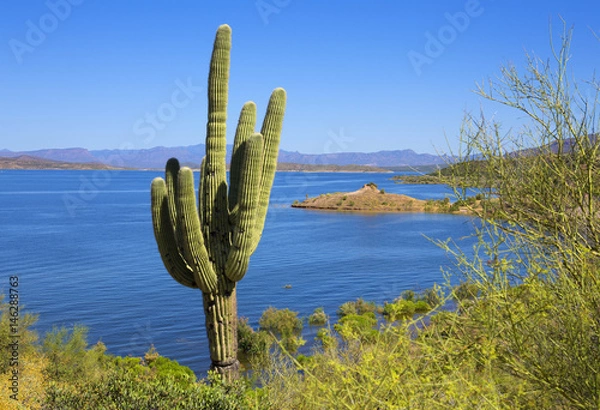 Obraz Roosevelt lake