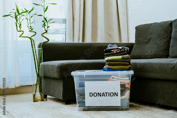 Fototapeta Donation boxes with clothes and shoes on floor against sofa in the apartment