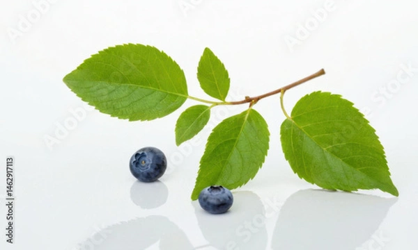 Fototapeta Fresh blueberries with green leaves on a clean white background, ideal for food or nature-related uses