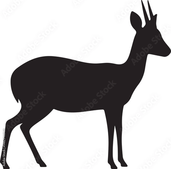 Fototapeta Dik-Dik Silhouette Vector Illustration