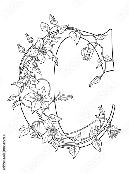 Fototapeta Letter C Outline with Vines – Botanical Coloring Page