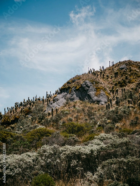 Obraz rocks in the mountains