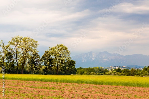 Fototapeta Spring storm over the fields